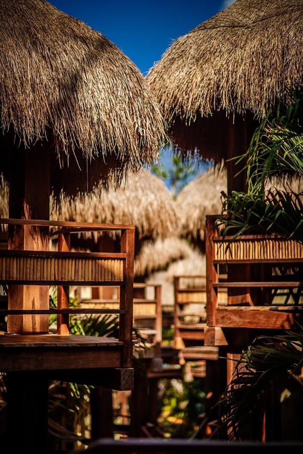 Hotel Carolina Bacalar Bagian luar foto
